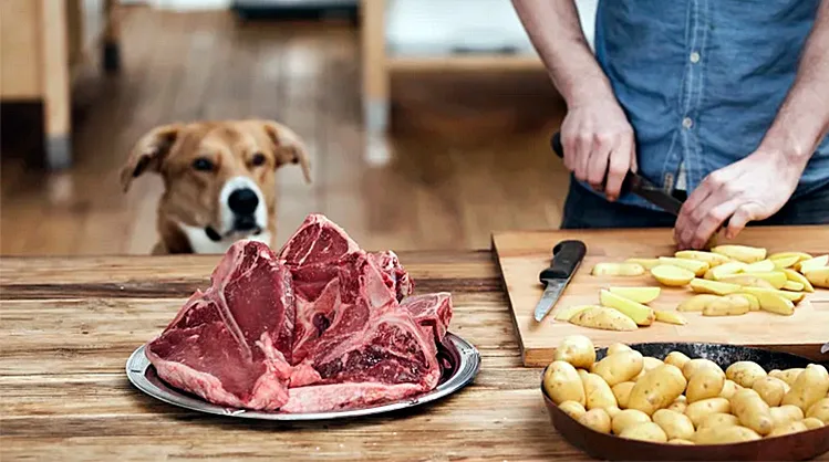 preparando-una-ración-de-barf