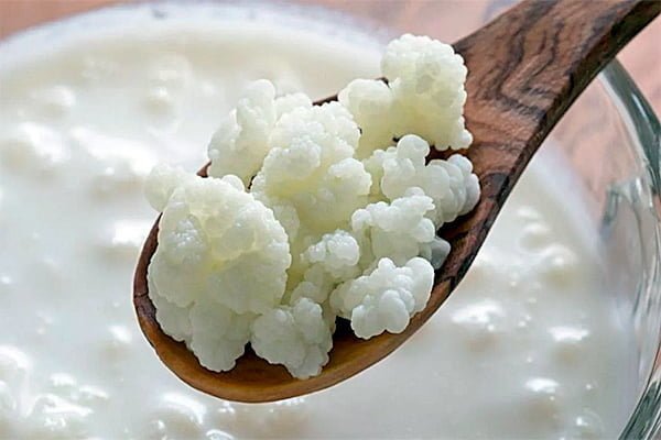 kefir kefir