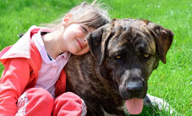 nina pequena junto a su perro