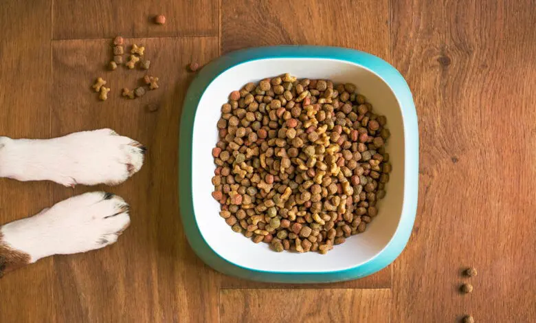 pienso para perro en el comedero