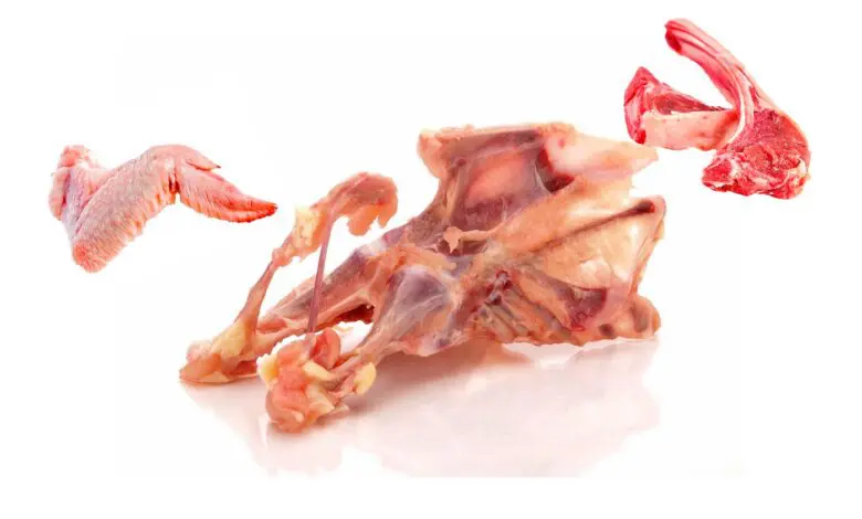 carcasa de pollo