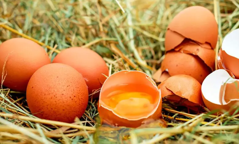 huevos con cascara