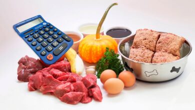 calcular racion de dieta barf